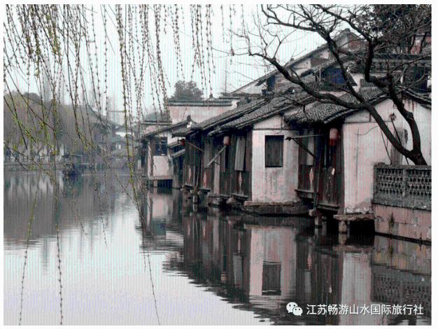 长江源村:乡村振兴又多一把“金钥匙”
